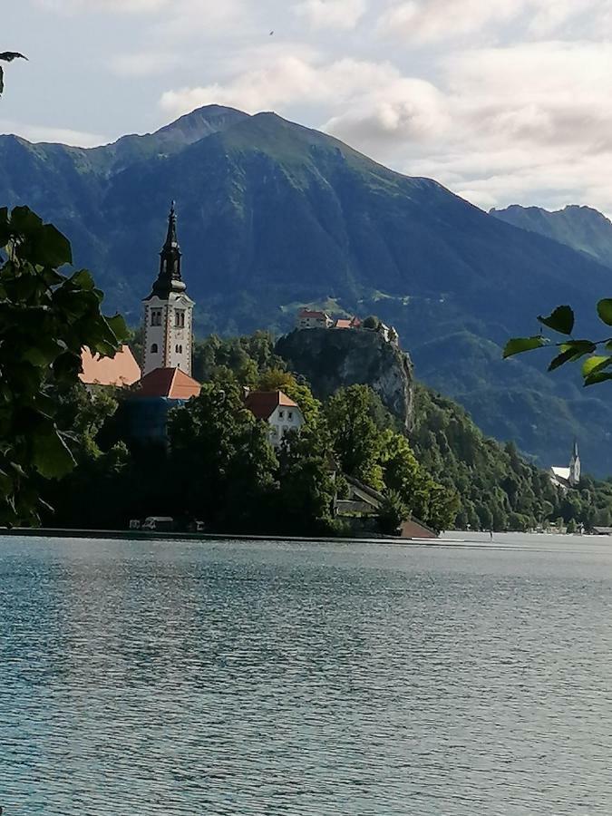 Hisa Vally Art Блед Екстер'єр фото